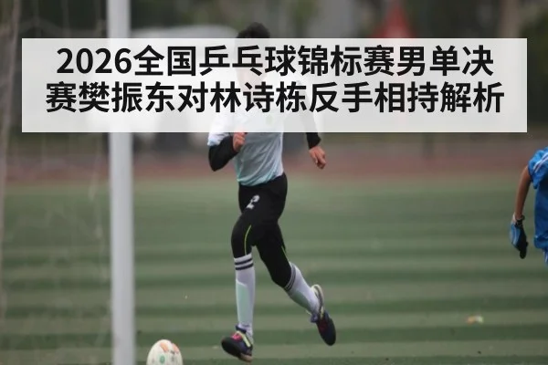 2026全国乒乓球锦标赛男单决赛樊振东对林诗栋反手相持解析